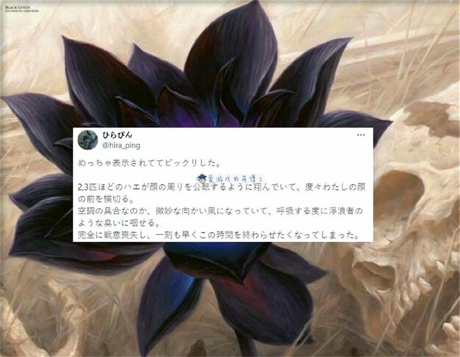 动认输玩家：苍蝇是自带的场地效果PP电子《万智牌》参赛者被臭到主